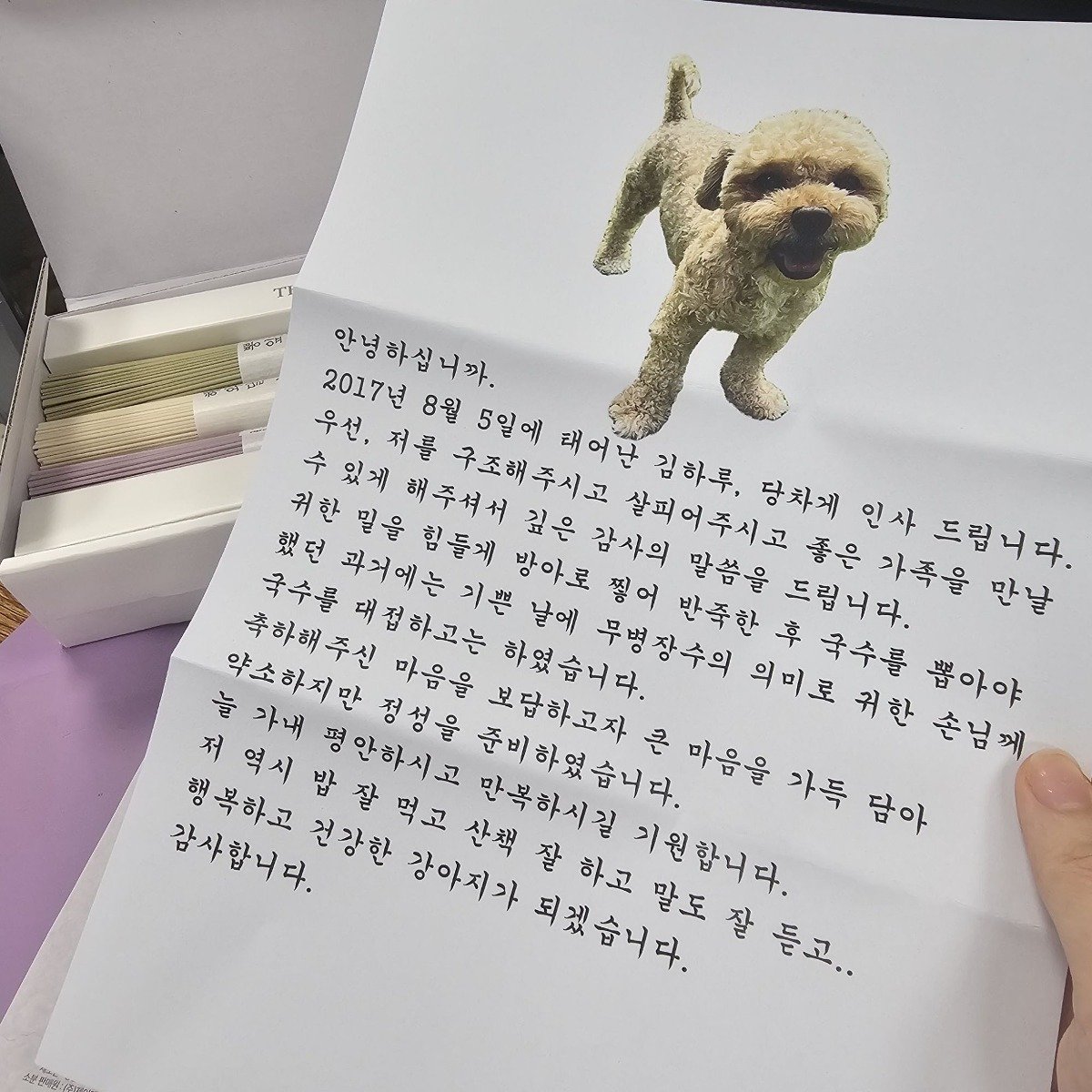 honjabogin's tweet photo. 입양 보낸 강아지가 편지를 보내왔다 https://t.co/E9hE0RWRja