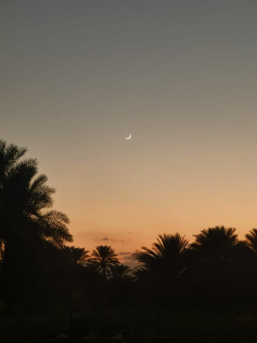 شؤون إنسانية (@shooninsania) on Twitter photo 