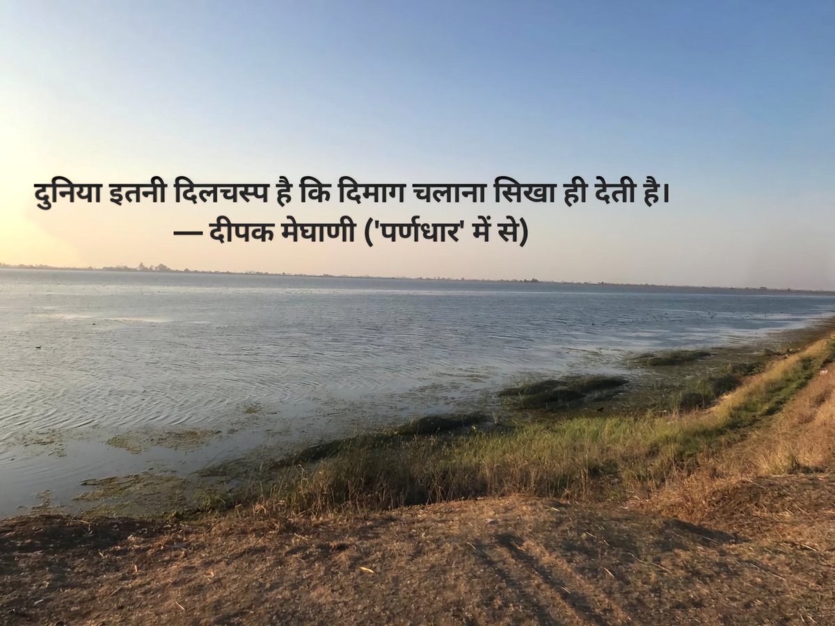 दुनिया इतनी दिलचस्प है कि दिमाग चलाना सिखा ही देती है।
— दीपक मेघाणी ('पर्णधार' में से)