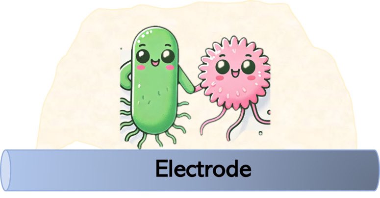 Ramya Veerubhotla tweet media