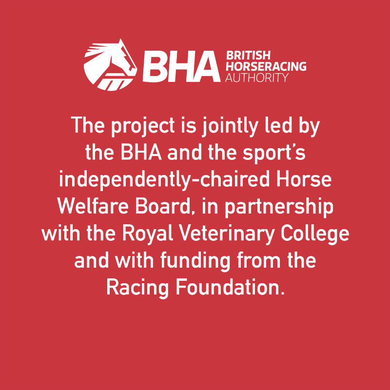 BHAHorseracing's tweet photo. British racing, in partnership with @RoyalVetCollege, is now using data spanning 14 years to identify and help reduce risk in the sport, using the Racing Risk Model (RRM).

@welfareboard | @racinggrants 

Click below for full details ⤵️