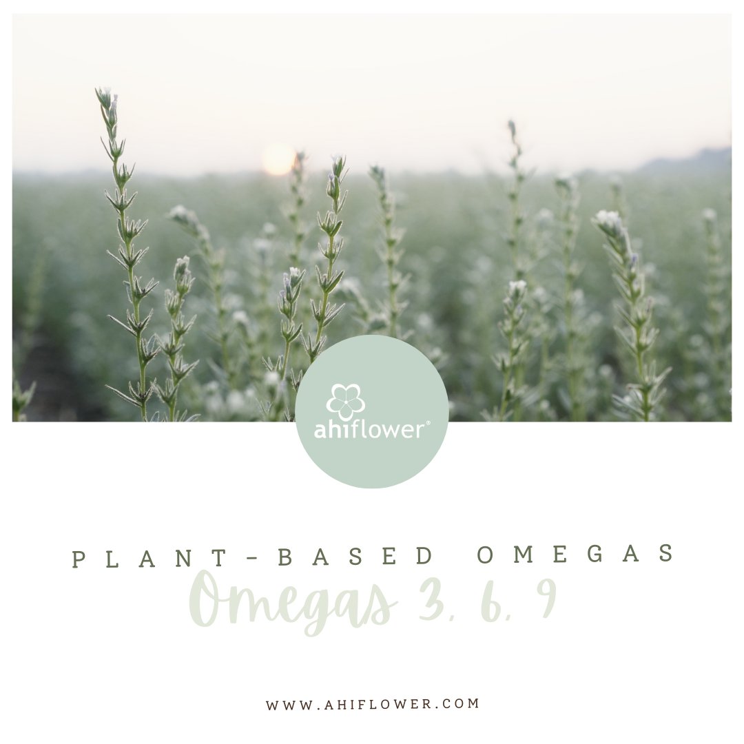 Here’s what makes #Ahiflower stand out:
✅ Complete &amp; Balanced #OmegaNutrition
✅ Nature's Richest Source of #Omega3
✅ Sustainably Grown
✅ Versatile &amp; Clean: No fishy taste or smell.

Ready to try the future of #plantbasednutrition? ahiflower.com/buy-it