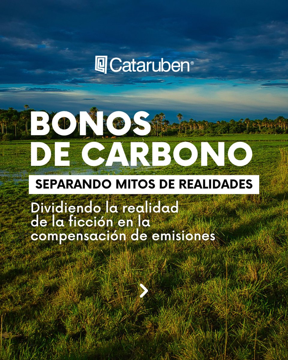 Cataruben tweet media