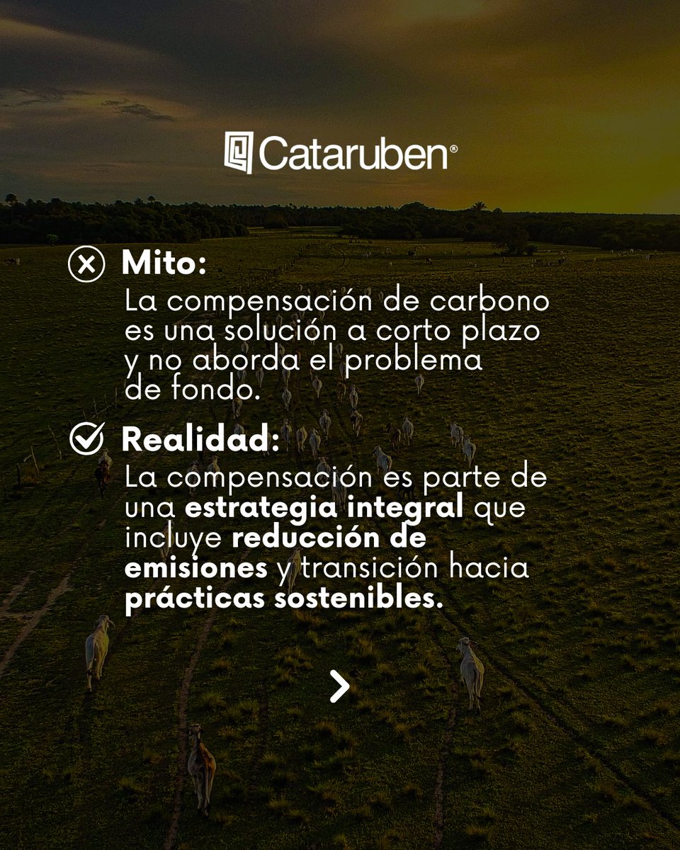 Cataruben tweet media