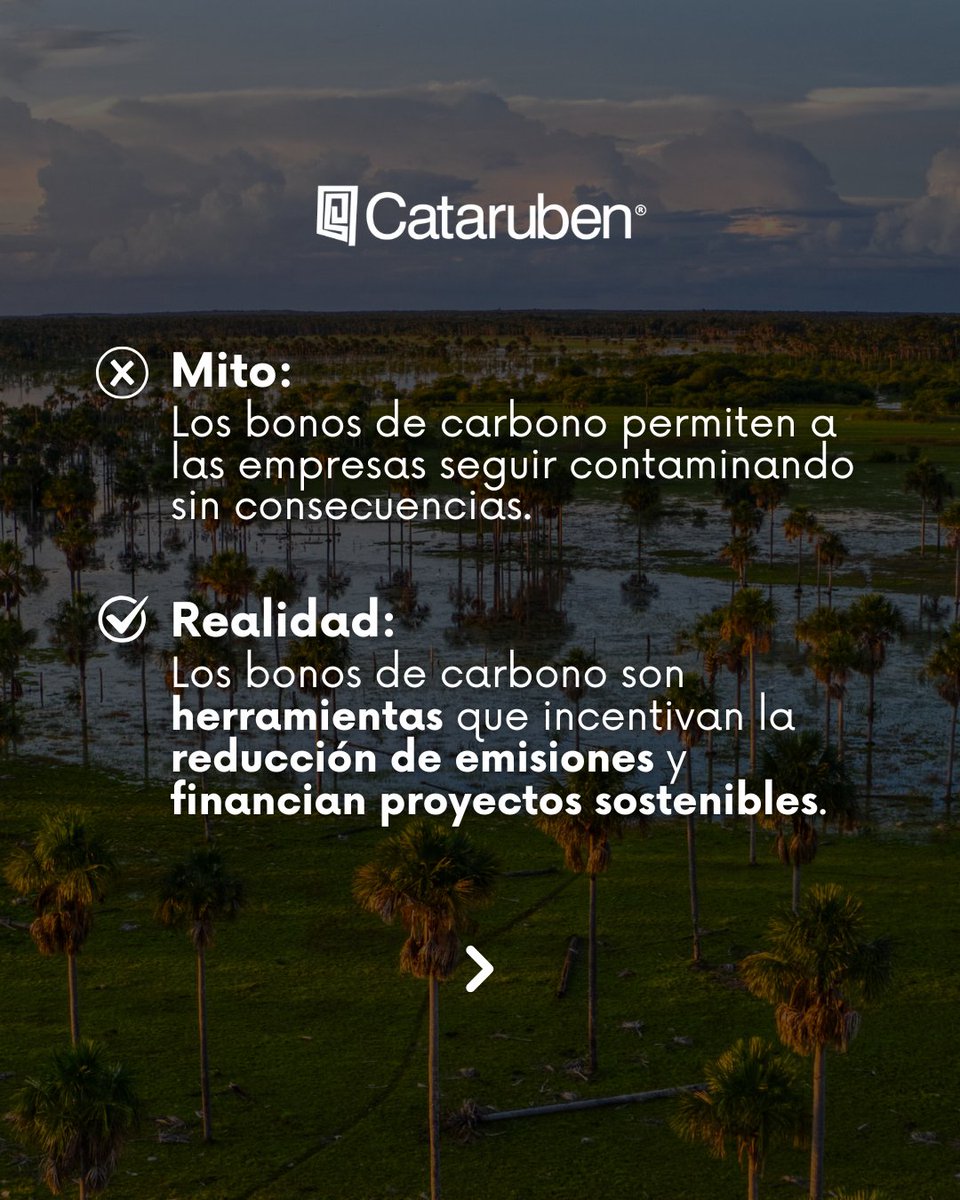 Cataruben tweet media