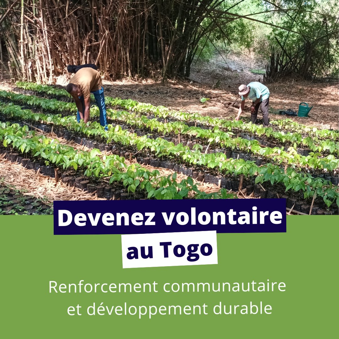 DestinationQSF's tweet image. 🌍🧳 Devenez volontaire au #Togo pour un mandat en renforcement communautaire avec le CRÉDIL l'été prochain!

En savoir + et postuler👉destinationqsf.com

#VolontairesQSF #DestinationSolidarité