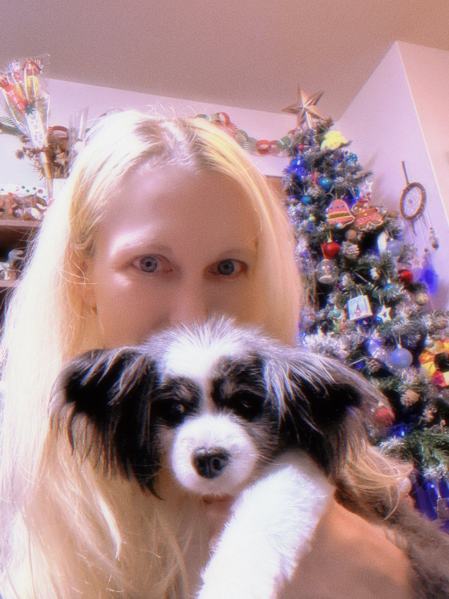 ジェン Jenn 珍 🌻@プロ雀士🌻Pro Mahjong tweet media