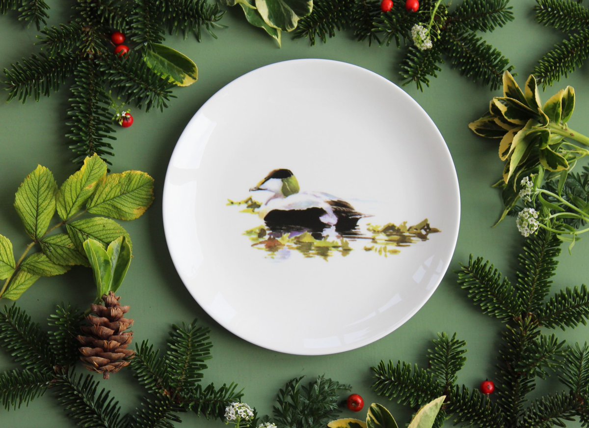 Ork_Storehouse's tweet photo. We have lots of great gift ideas this Christmas including our Orkney eider collection 🎁🎄
#finebonechina #eider #orkney https://t.co/Ze6jIefYbY
