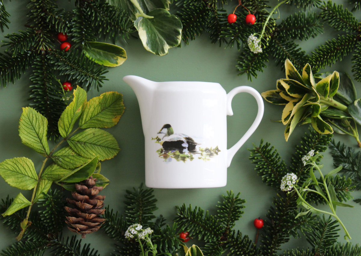 Ork_Storehouse's tweet photo. We have lots of great gift ideas this Christmas including our Orkney eider collection 🎁🎄
#finebonechina #eider #orkney https://t.co/Ze6jIefYbY