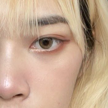 morpor🍋 tweet media