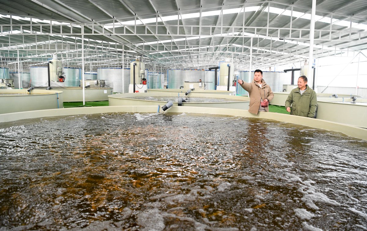 Alim_CHN's tweet photo. Aquaculture has become an important agricultural industry in Xinjiang, but the reality is that Xinjiang is thousands of miles away from the ocean. This is the result of the people of Xinjiang working hard and expanding their income without any forced labor. https://t.co/Kyo6WIERaX