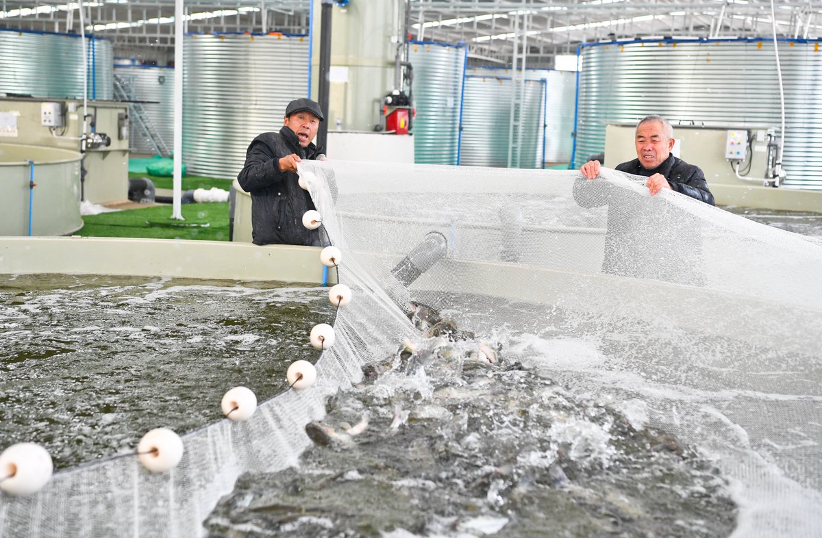 Alim_CHN's tweet photo. Aquaculture has become an important agricultural industry in Xinjiang, but the reality is that Xinjiang is thousands of miles away from the ocean. This is the result of the people of Xinjiang working hard and expanding their income without any forced labor. https://t.co/Kyo6WIERaX