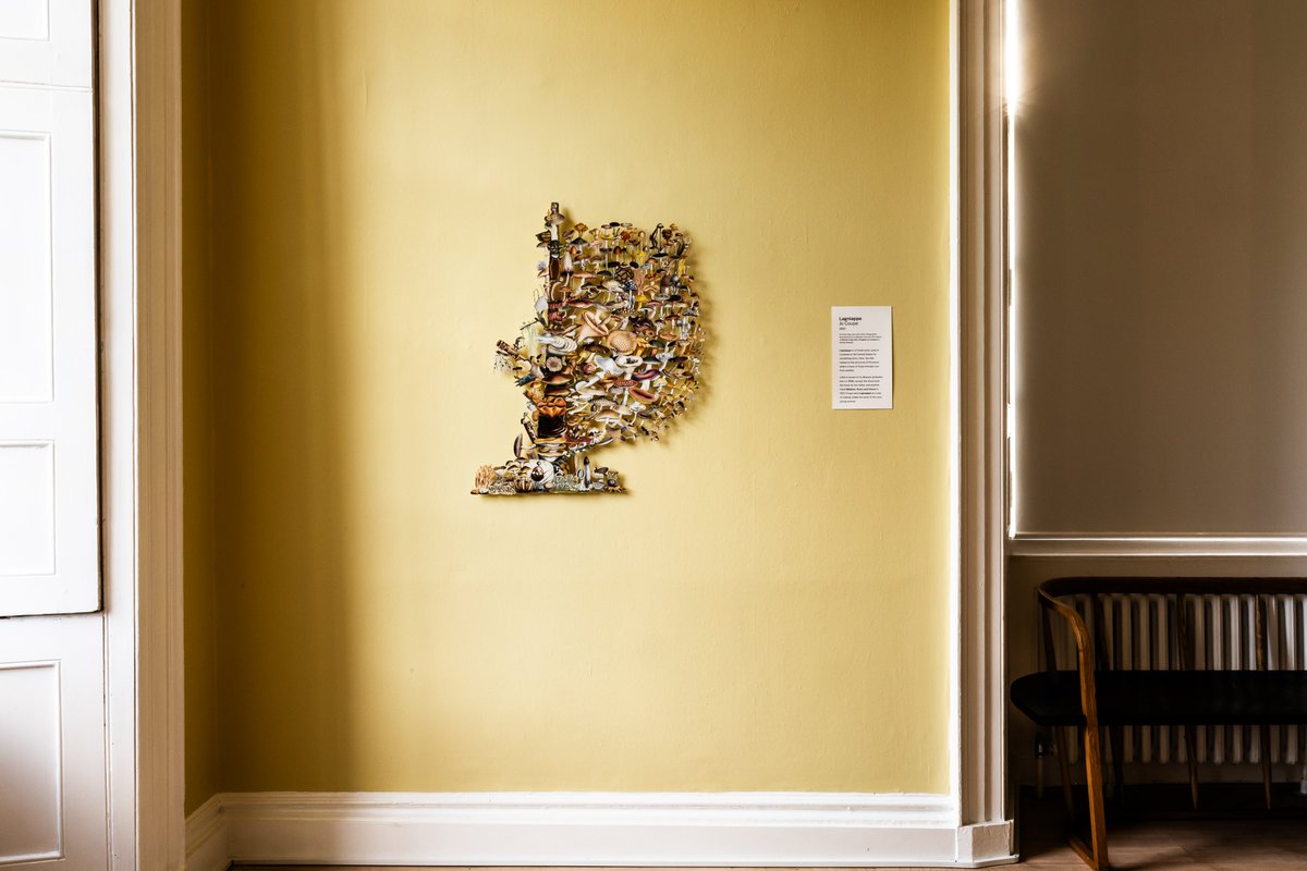 RBGE Creative Programmes (@rbgecreative) on Twitter photo Fungi Forms Room 6: “Future”
Fungi are at the heart of all futures. As processors and problem solvers, they can clean up the environment, inspire new medicines and fabricate novel material.
Explore a variety of works that showcase this in our final room.
<a href="/TheBotanics/">Royal Botanic Garden Edinburgh</a> Fungi Forms Room 6: “Future”
Fungi are at the heart of all futures. As processors and problem solvers, they can clean up the environment, inspire new medicines and fabricate novel material.
Explore a variety of works that showcase this in our final room.
<a href="/TheBotanics/">Royal Botanic Garden Edinburgh</a>