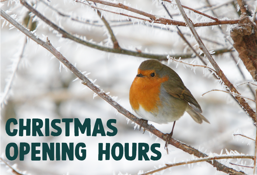 Christmas opening hours 🎄

23rd Dec | open 10am til 5pm
24th Dec | closed
25th Dec | closed
26th Dec | closed
27th Dec | open 10am til 5pm
And then open as usual until next Christmas!
