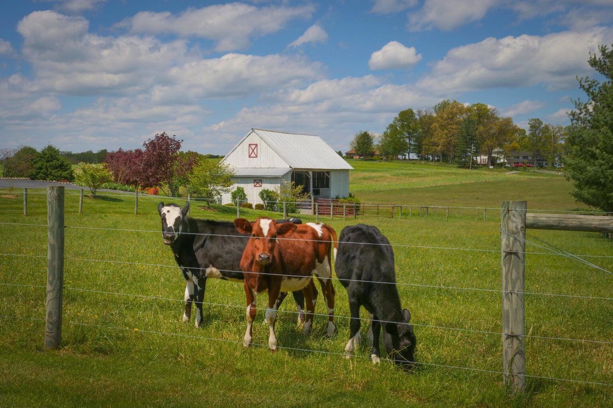 PennCapitalStar's tweet image. Latest 2024 farm income forecast shows overall decrease from 2023 buff.ly/4ilCR7G via @IowaCapDispatch