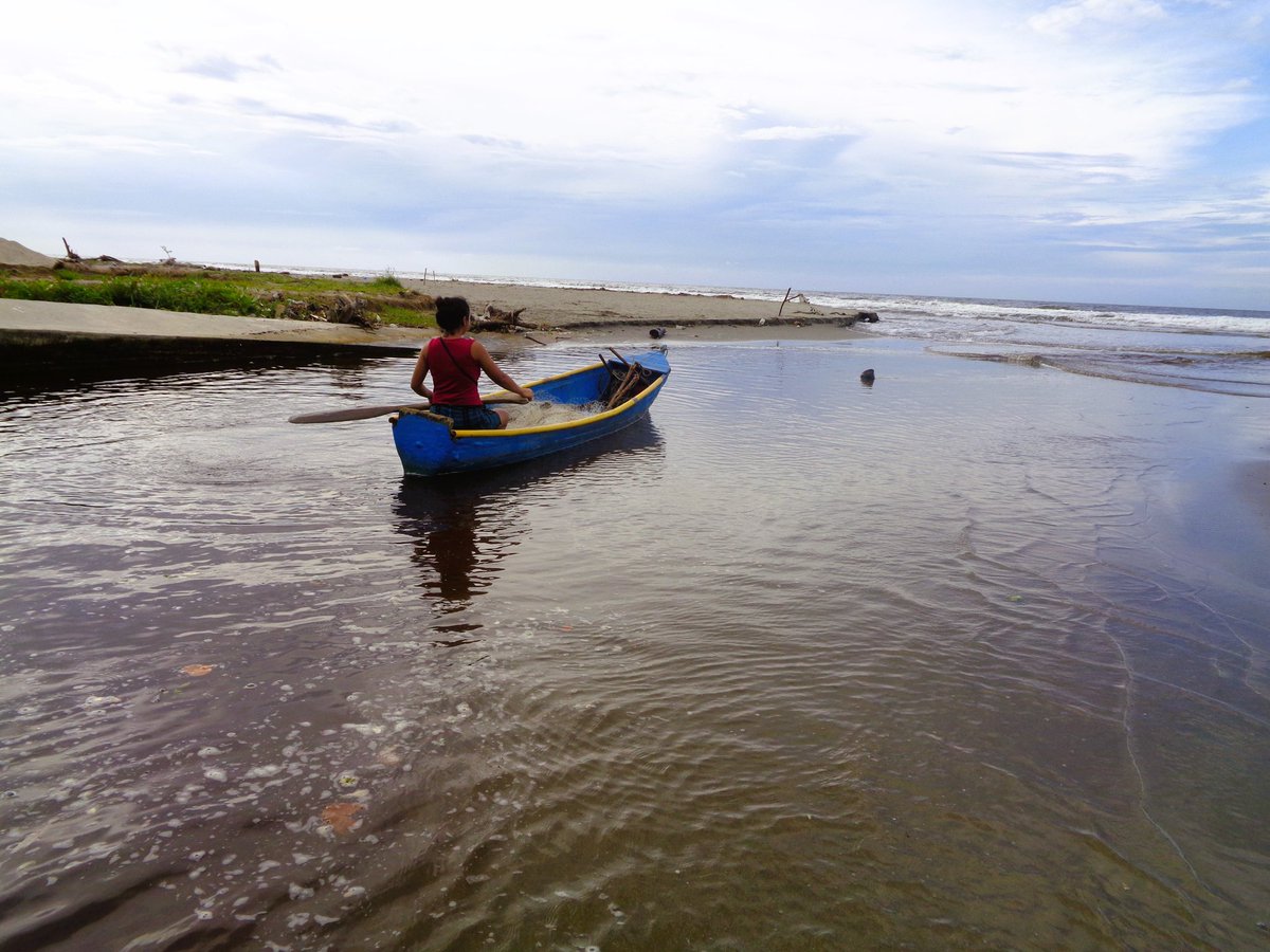 ✨New Paper✨

A new publication by lab members Sara Bonilla and Steve Canty highlights the critical role of addressing gender equity in the management of Marine Protected Areas &gt;&gt;

sciencedirect.com/science/articl…

1/4