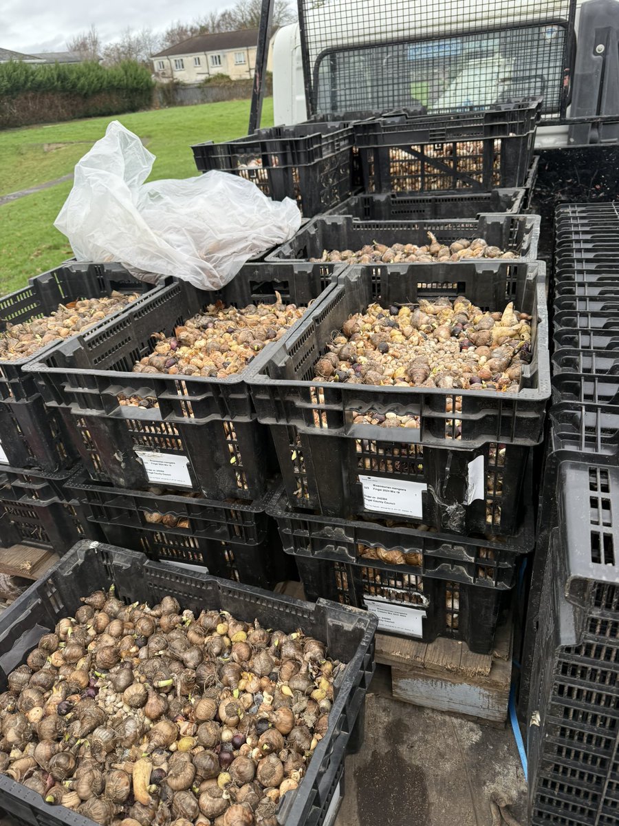 Blakestown CS (@blakestowncs) on Twitter photo Flower Your Place back on site today for this year’s bulb planting. We are going for our largest ever feature with over 15 varieties of flowers being planted! We can't wait to see them all bloom. Flower Your Place back on site today for this year’s bulb planting. We are going for our largest ever feature with over 15 varieties of flowers being planted! We can't wait to see them all bloom.