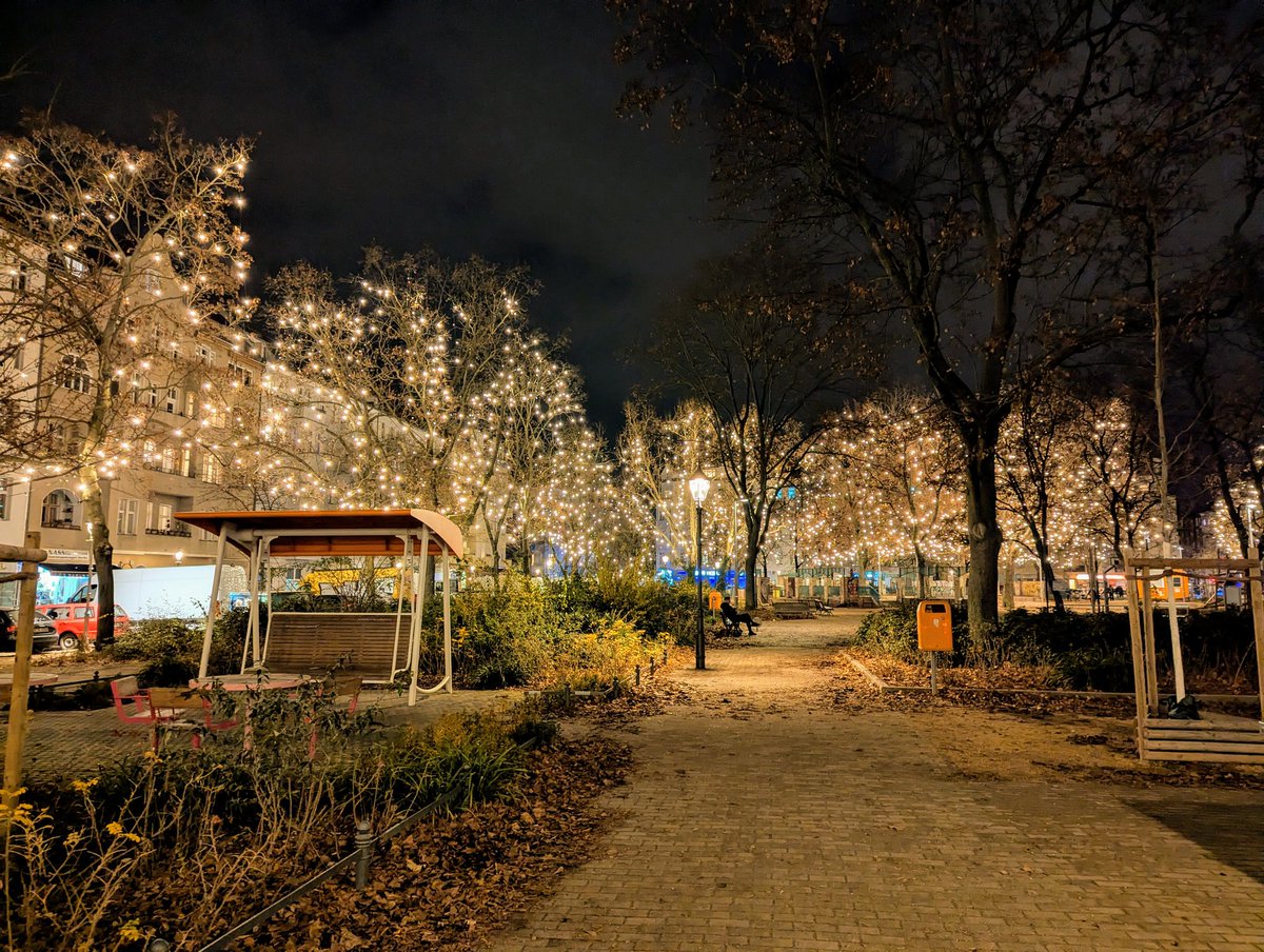 Fräulein 🌺🚲 || @blumenrad.bsky.social tweet media