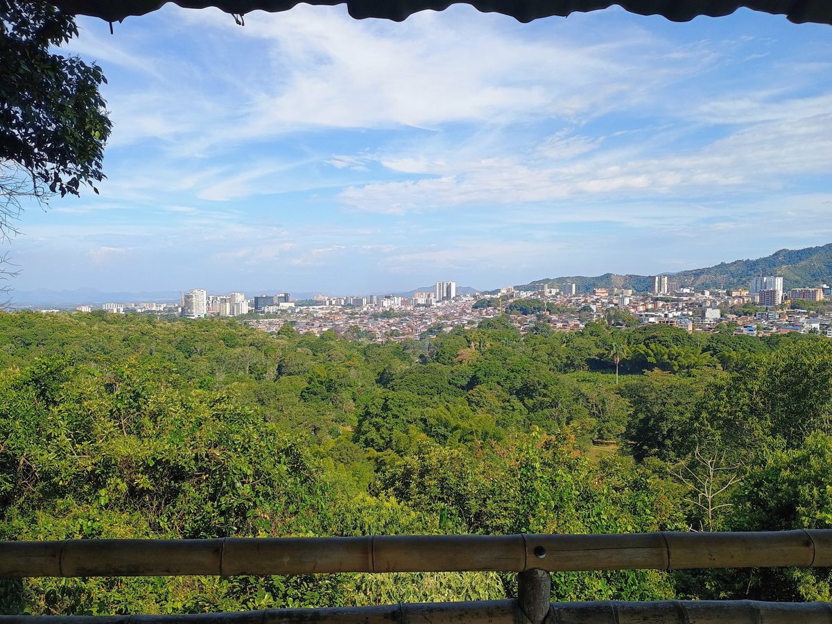 Jardín Botánico San Jorge tweet media