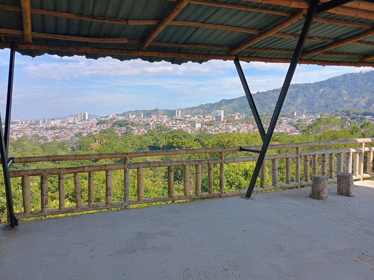 Jardín Botánico San Jorge tweet media