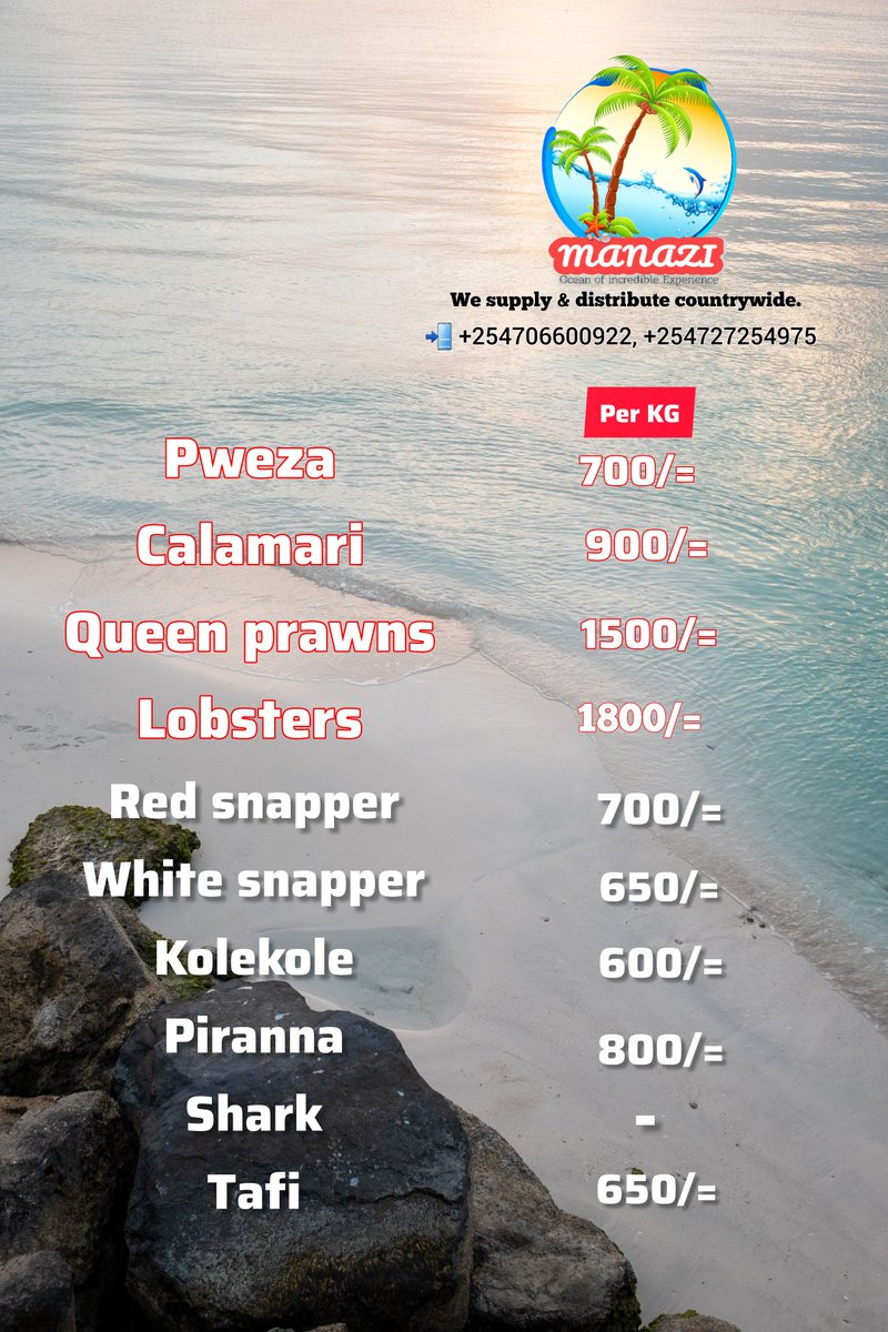Contact us for fresh seafood at wholesale.

Kasongo