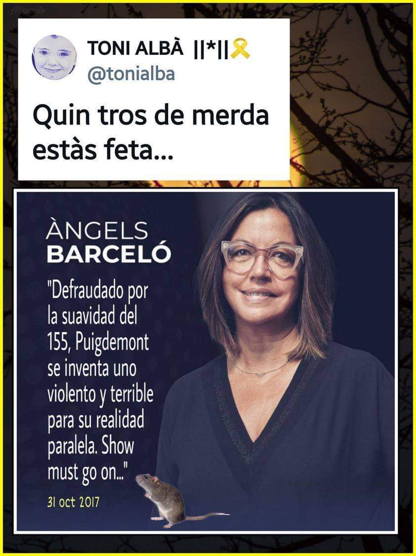 Anna Guitart tweet media