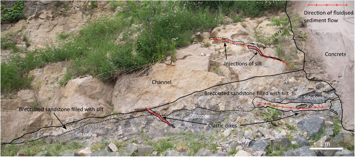 New in TDR
Evidence for subsidence rate variation in the Newark Basin and its influence on the deposition of fluvial sediments of the Stockton Formation
Jane L. Alexander, Sean T. Thatcher, Jay Tobon, Victoria Rivelli
onlinelibrary.wiley.com/doi/full/10.10…