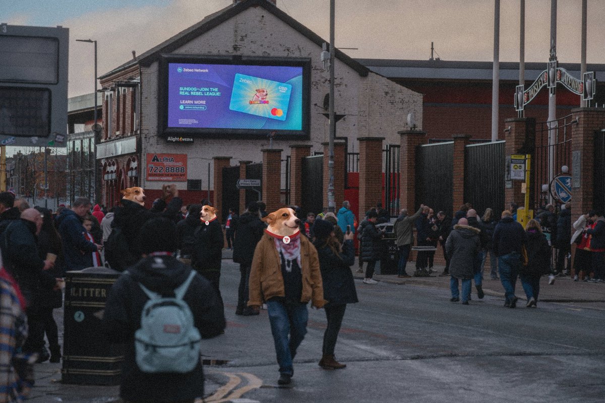 SunDog 🐾 tweet media