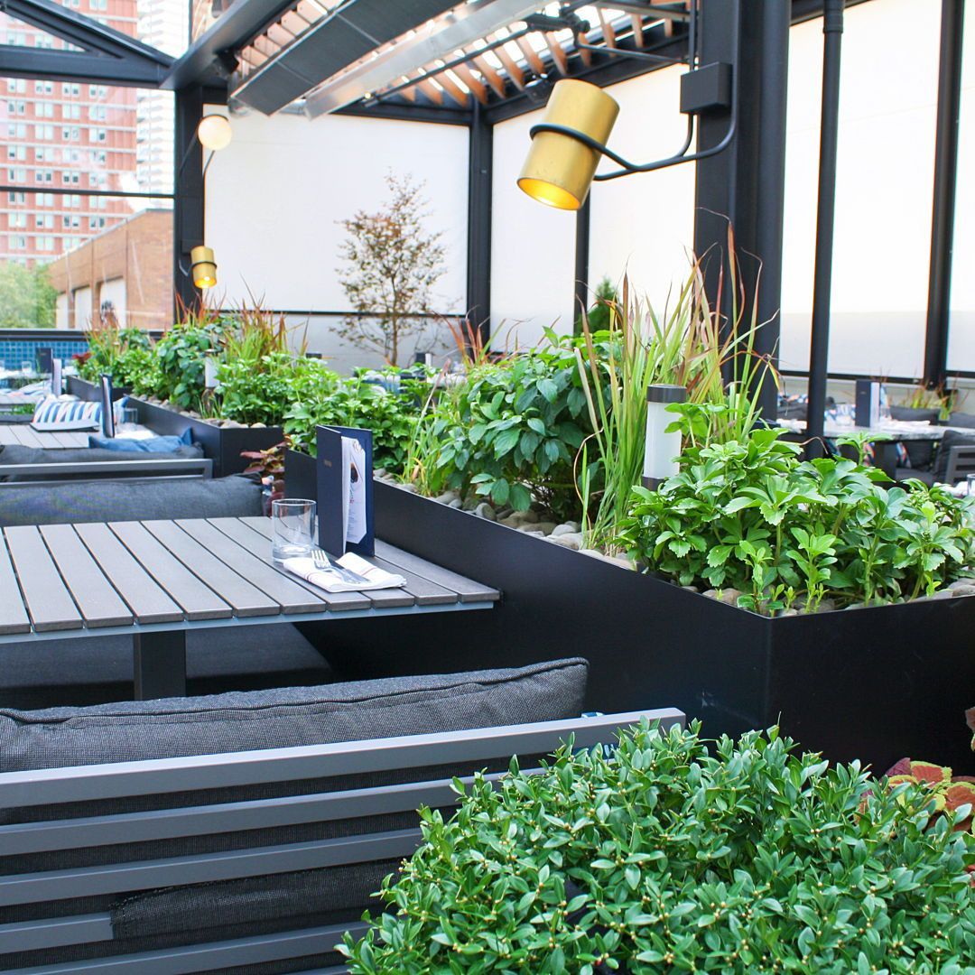 Recover Green Roofs tweet media