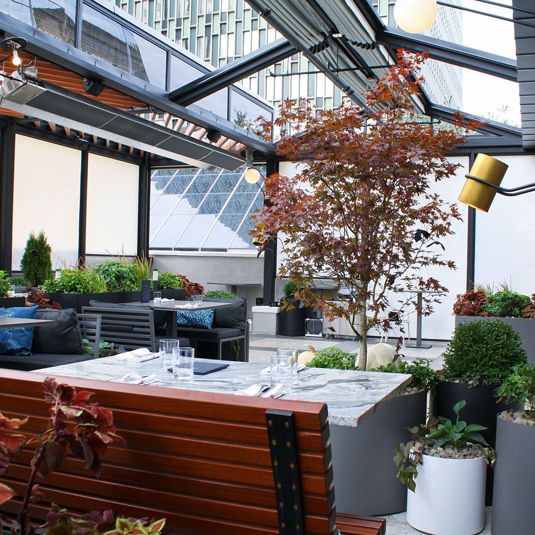 Recover Green Roofs tweet media