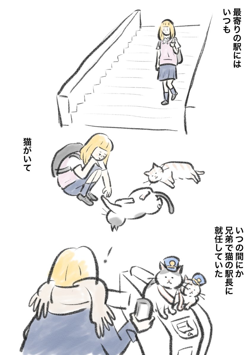 猫が駅にいる。 