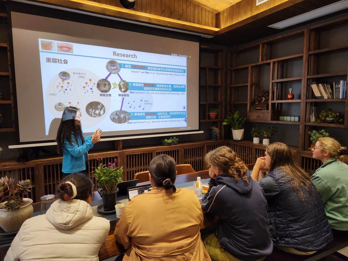 ccgrueter's tweet image. Pre-fieldwork workshop at our cozy base in Muyu, Hubei, China @UWAhumanscience @BiolSci_UWA @NewColomboPlan #snubnosedmonkey