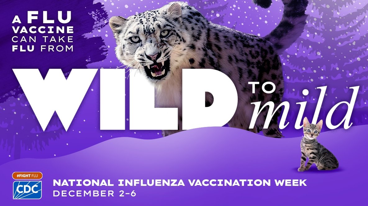 It's National Influenza Vaccination Week (#NIVW) – a great time to remind you that a flu vaccine is the best defense against flu's worst symptoms. There's still time to talk to a doctor or learn more at bit.ly/3YTMkLu #FightFlu <a href="/CDCgov/">CDC</a>