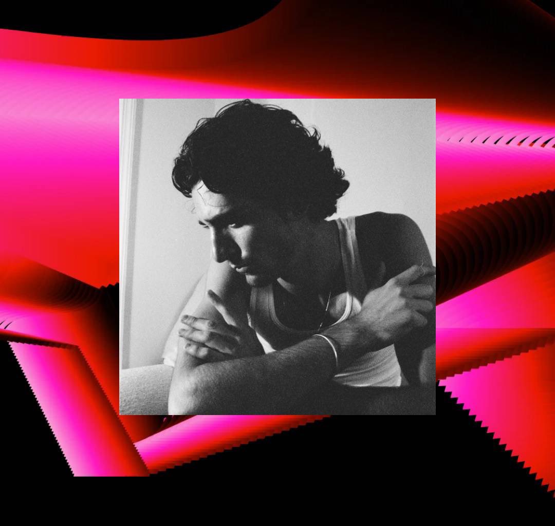 tamino daily tweet media