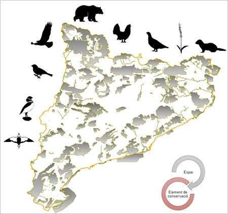 transicioeco's tweet photo. 🌺🐾 Quins hàbitats i espècies s'han de conservar prioritàriament als espais naturals de la Xarxa #Natura2000?

🏞️ Actualitzades les fitxes dels elements clau de la Xarxa, fruit del desenvolupament de l’Índex de rellevància

Consulta-les 👉 https://t.co/bHfSO7umQZ https://t.co/B9JAF2sbRj