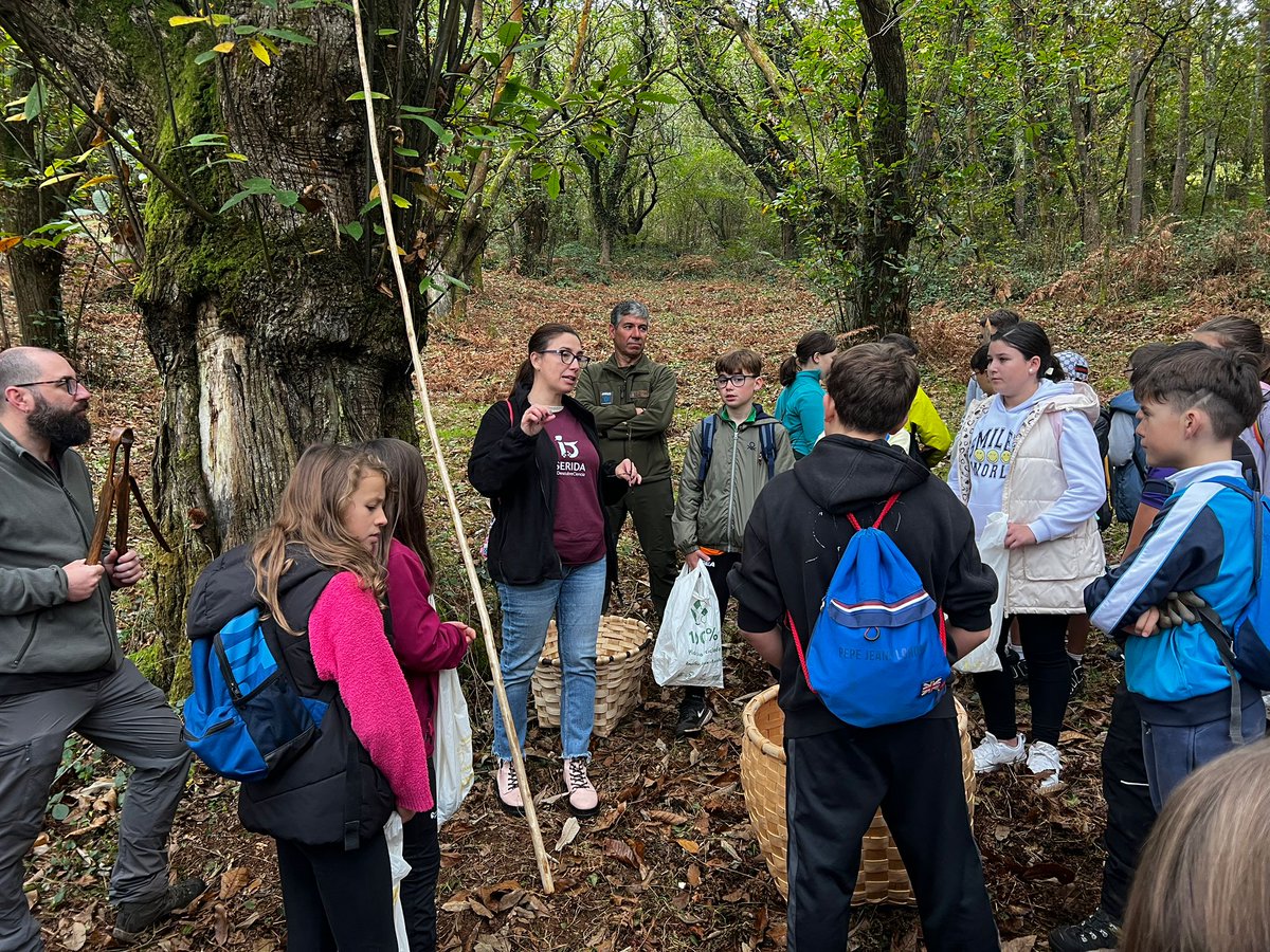 SeridaAst's tweet photo. El #SERIDA de La Mata (Grado) acompañó a los alumnos del C.P. Bernardo Gurdiel, en la #SemanadelaCiencia, a una visita por el castañeo de Borondes. 🌿
Aprendiendo sobre el cultivo del castaño, la app DKFreeCastanea. ¡Y por supuesto que pañaron castañas!🌰📱
#RECEPA @AgEInves https://t.co/AAYMrQRxj7