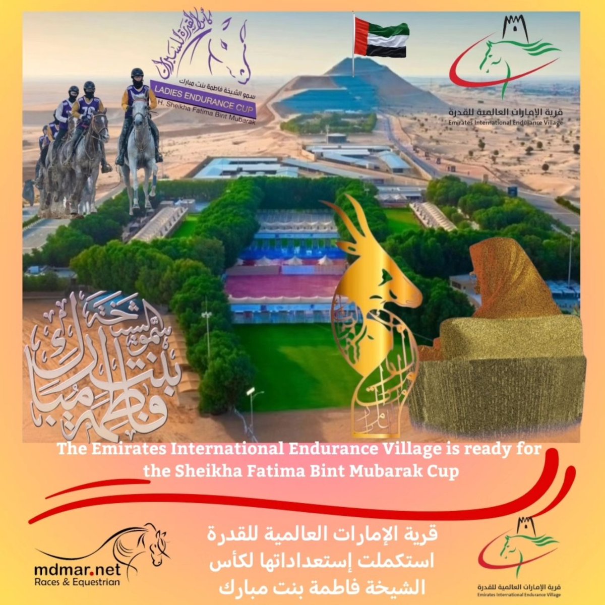 mdmar11's tweet photo. #قرية_الإمارات_العالمية_للقدرة استكملت إستعداداتها ل #كأس_الشيخة_فاطمة_بنت_مبارك 
The #Emirates_International_Endurance_Village is ready for the #Sheikha_Fatima_Bint_Mubarak_Cup
 https://t.co/7BFtMUtepq
#horse #mdmarace #mdmarrace #uae  #Wathba #hhmansoor #alwathba 
#eiev https://t.co/HlsLpo4Apq