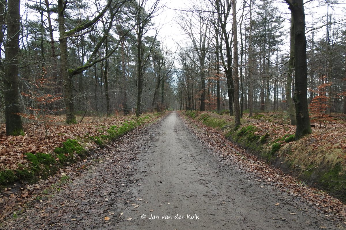 Zandwegen met en zonder fietspad, de Aaweg en Veldweg in #Azelo #Oazele
#HofVanTwente #Twente #BekiekTwente
