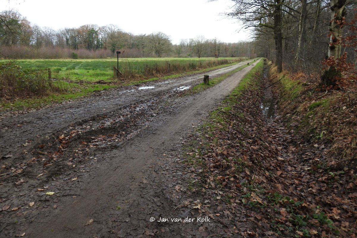 BekiekTwente's tweet photo. Zandwegen met en zonder fietspad, de Aaweg en Veldweg in #Azelo #Oazele
#HofVanTwente #Twente #BekiekTwente https://t.co/sl8Inw85Ml
