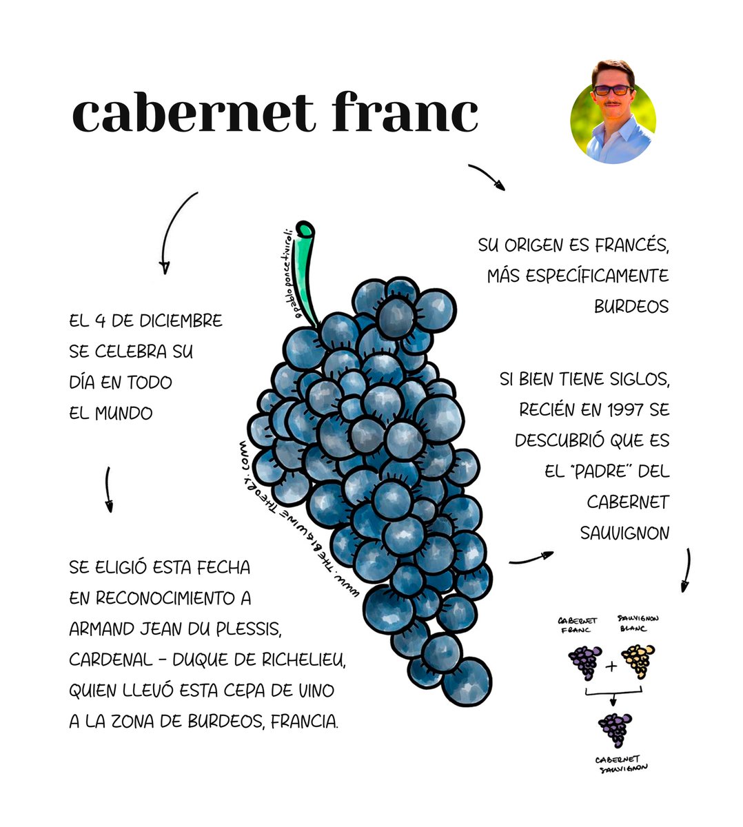 Hoy celebramos el día de mi varietal favorito: CABERNET FRANC

Esta cepa de origen francesa (Burdeos) tiene muchísima historia, existen registros de este varietal que datan del SVII.

Junto al  Sauvignon Blanc dan origen al Cabernet Sauvignon 

#BuenMiercoles