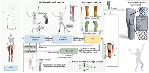 Deepak Kumar, PT, PhD (@profdeepakkumar) on Twitter photo Now available: Open-access publication on using a biomechanics- and topology-informed neural network for personalized design of knee braces.
Presented today at #SIGGRAPH by PhD student Xingjian Han from <a href="/BUCompSci/">BU Computer Science</a>
👇
dl.acm.org/doi/10.1145/36… Now available: Open-access publication on using a biomechanics- and topology-informed neural network for personalized design of knee braces.
Presented today at #SIGGRAPH by PhD student Xingjian Han from <a href="/BUCompSci/">BU Computer Science</a>
👇
dl.acm.org/doi/10.1145/36…