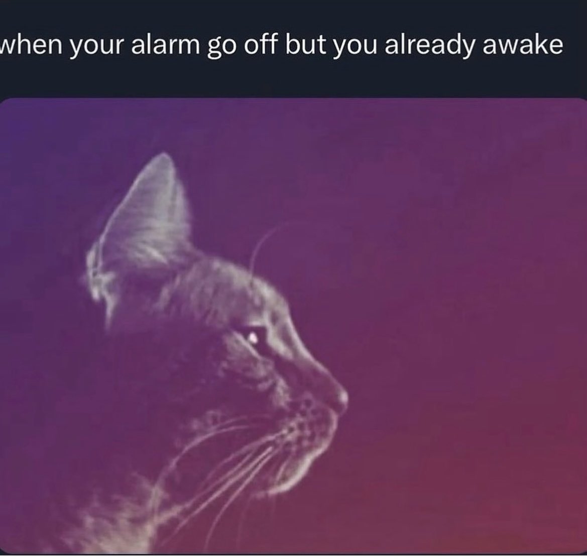 Jorge 🕷 tweet media