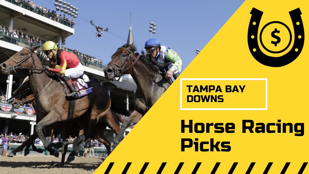 ATSstats's tweet photo. Tampa Bay Downs – Wednesday, December 4th, 2024 – Full Race Breakdown
Link: https://t.co/8ZEnsXsyOM
#TampaBayDowns #HorseRacing #ExactaMagic #TrifectaWins #80PercentClub https://t.co/dEAgaCEypj