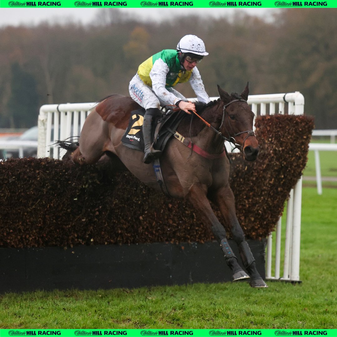 Hit ❤️ for Cloudy Glen!

11 years-young and he still loves the game!
