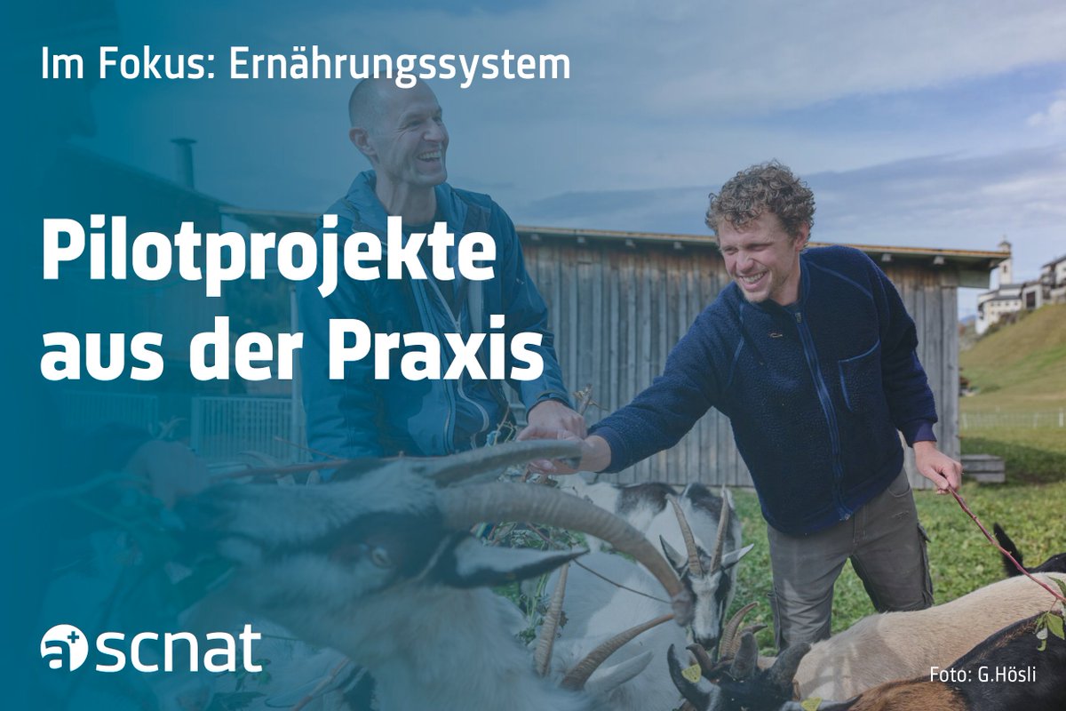 ProClim (@proclimch) on Twitter photo Am 21.11. war ProClim an der Tagung «Klimastrategie Landwirtschaft und Ernährung 2050: Wo stehen wir in der Umsetzung, und wie geht es weiter?» (<a href="/CHblw/">BLW - OFAG - UFAG</a>, <a href="/BLV_OSAV_USAV/">BLV - OSAV - USAV</a> & <a href="/bafuCH/">BAFU - OFEV - UFAM - FOEN</a>). Mehr zu innovativen Projekten in der Landwirtschaft lesen? Können Sie hier: scnat.ch/de/id/ediNT Am 21.11. war ProClim an der Tagung «Klimastrategie Landwirtschaft und Ernährung 2050: Wo stehen wir in der Umsetzung, und wie geht es weiter?» (<a href="/CHblw/">BLW - OFAG - UFAG</a>, <a href="/BLV_OSAV_USAV/">BLV - OSAV - USAV</a> & <a href="/bafuCH/">BAFU - OFEV - UFAM - FOEN</a>). Mehr zu innovativen Projekten in der Landwirtschaft lesen? Können Sie hier: scnat.ch/de/id/ediNT
