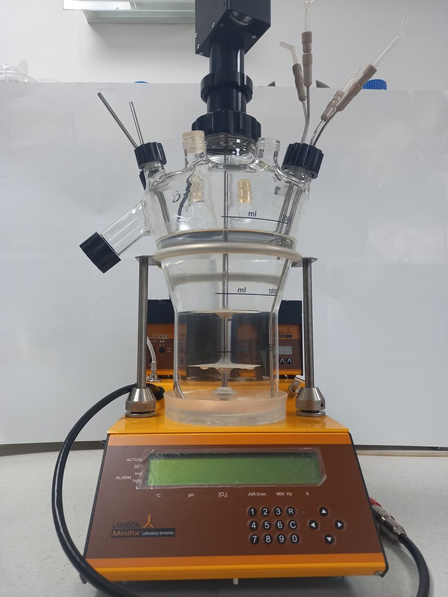LAMBDA_Labinstr's tweet photo. At LAMBDA, we’ll do whatever it takes to make our customers happy—even if it means turning our world upside down! 🌀 Here’s a bioreactor vessel with a custom upside-down side port, exactly how our customer wanted it! 😅 #CustomerSatisfaction #Innovation #Bioreactor https://t.co/AsTNyNSPUM