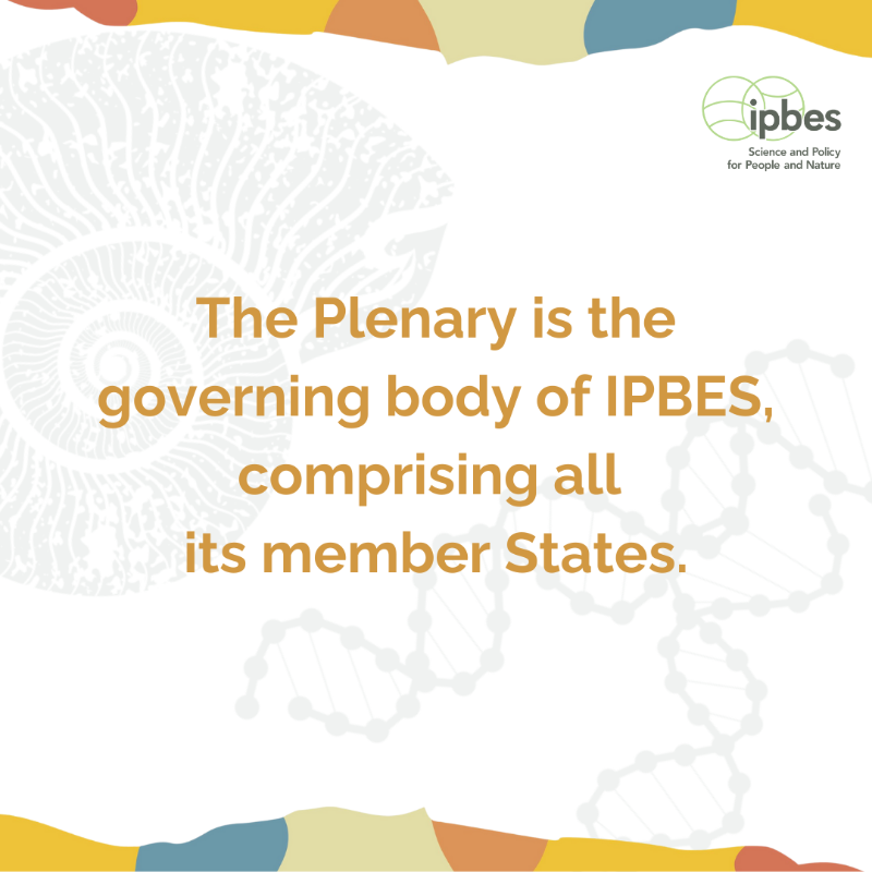 IPBES's tweet photo. #IPBES11 is around the corner! 📢

But...do you know what an IPBES Plenary session is and why this one is so important? 🤔

One reason (among many) is: it's the first-ever IPBES Plenary session held on African soil!

📅 10 - 16 December 2024

 📌Windhoek, Namibia