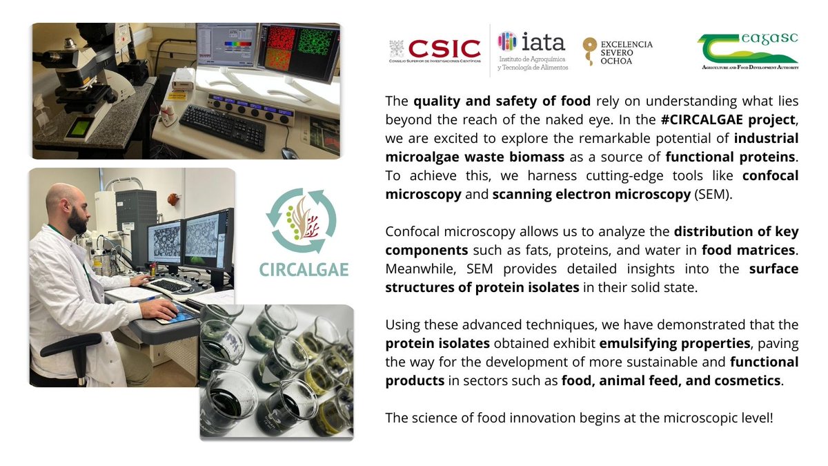 FoodPackGroup's tweet image. The science of food innovation begins at the microscopic level!
In collaboration with @teagasc
@circalgae_eu @iata_csic @HorizonEU
#microalgae #proteins #valorization #CIRCALGAE