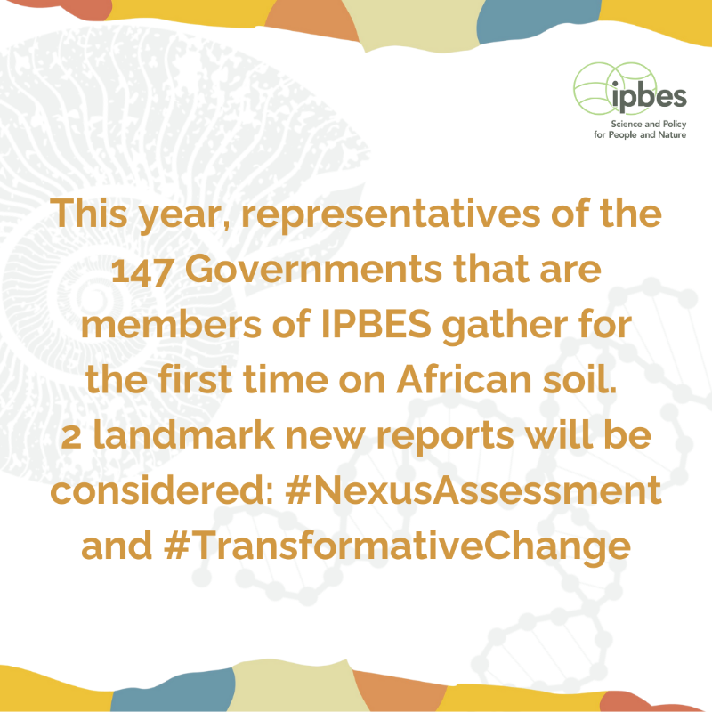 IPBES's tweet photo. #IPBES11 is around the corner! 📢

But...do you know what an IPBES Plenary session is and why this one is so important? 🤔

One reason (among many) is: it's the first-ever IPBES Plenary session held on African soil!

📅 10 - 16 December 2024

 📌Windhoek, Namibia