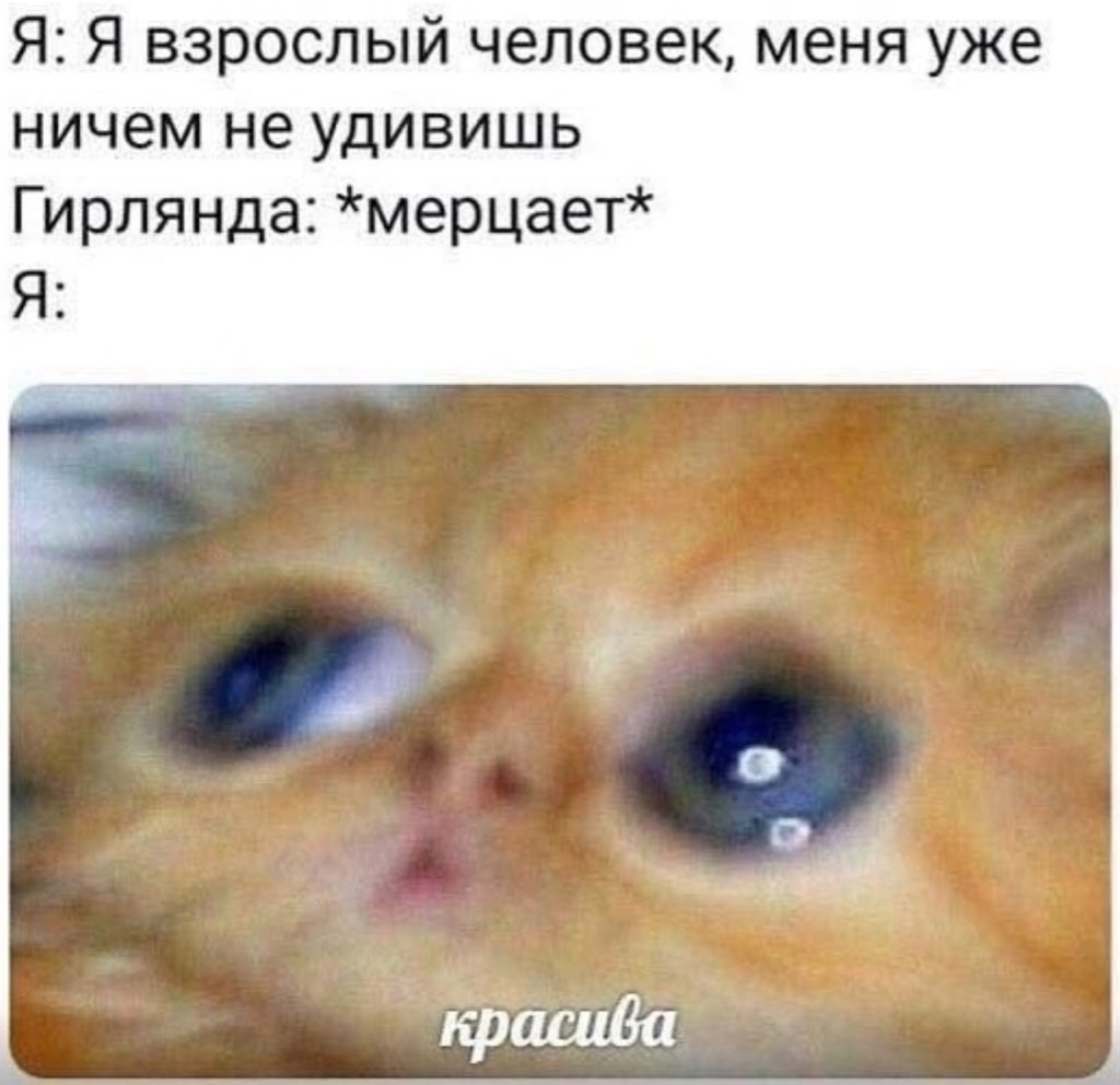 Артём Трещенко (@treschenko24) on Twitter photo 